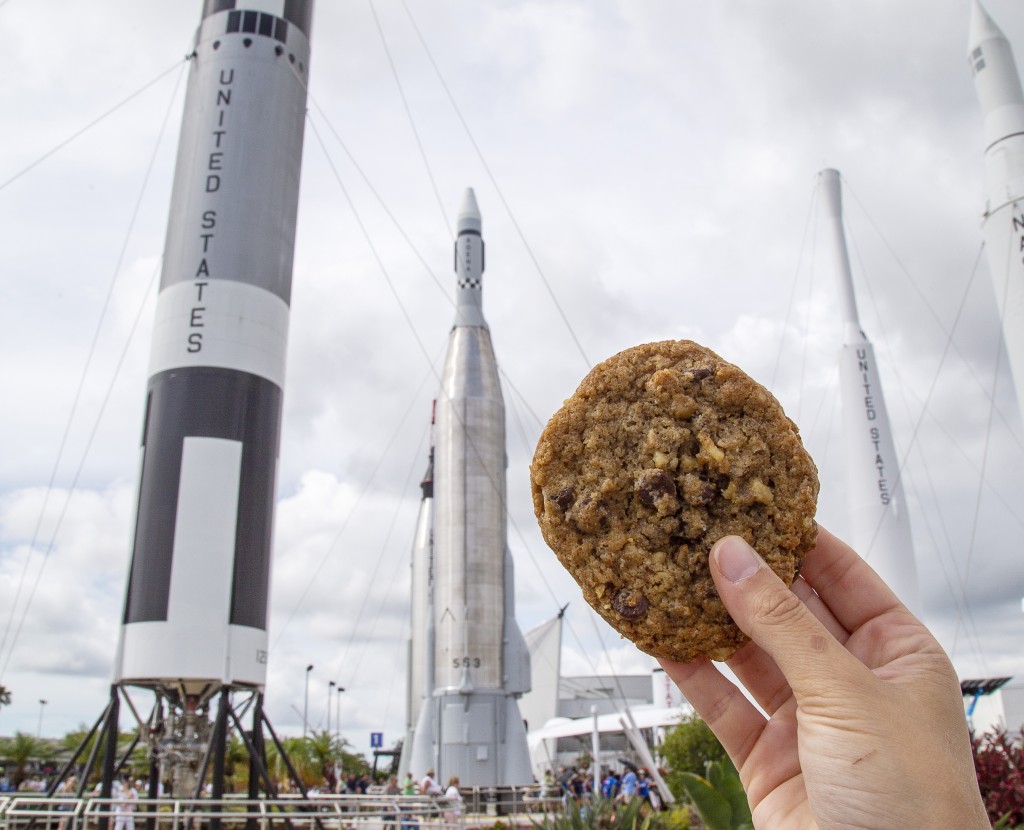 DTree-Cookie-Kennedy-Space-Center2_HR